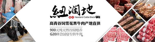 青島建華接下高青黑牛（紐瀾地黑牛）歐式年產7萬頭牛生產線